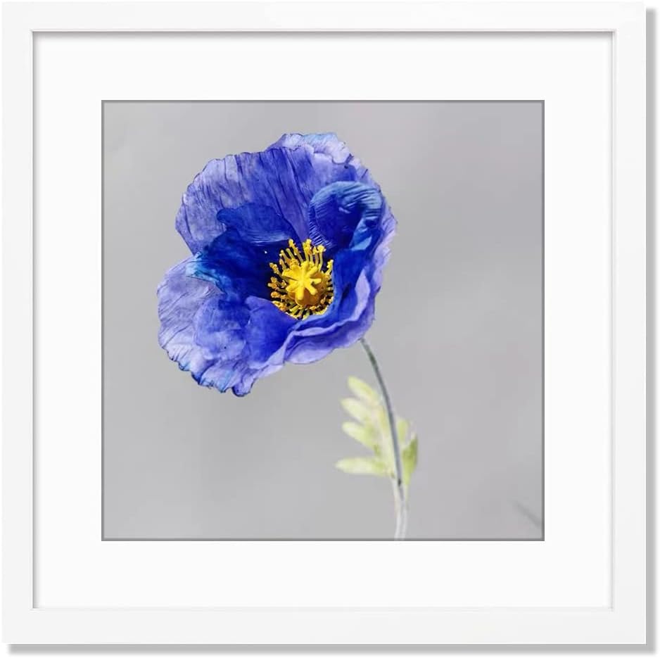 VNVNK 20x20 Frame White for Pictures, Perfect Home Decor