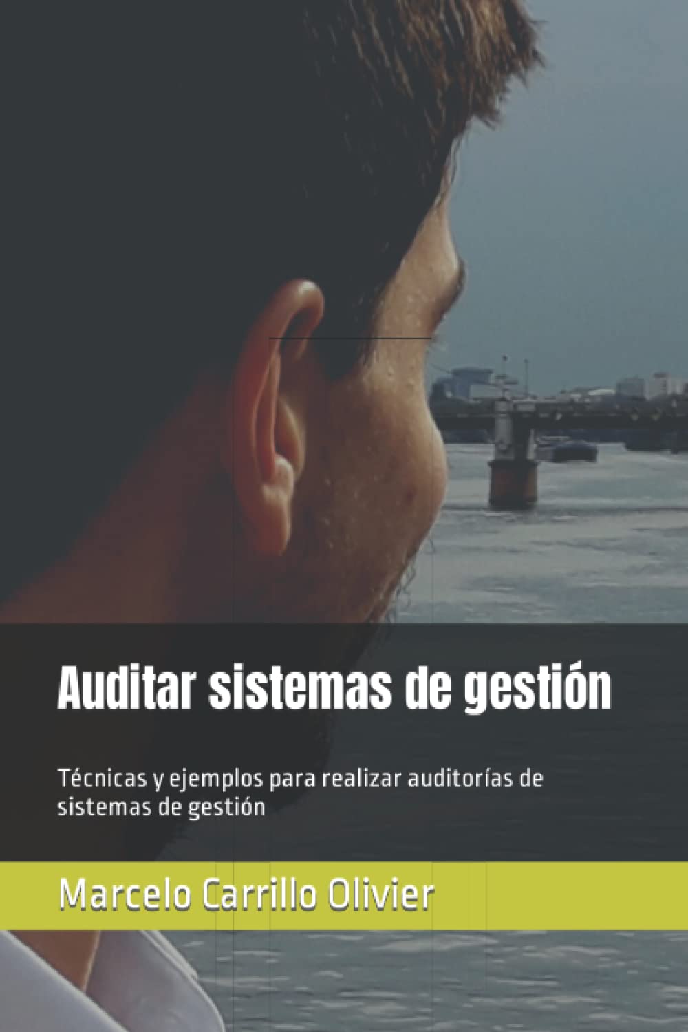 Auditar Sistemas de Gestion: Tecnicas y Ejemplos para Auditorias