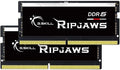 G.Skill Ripjaws F5 32 Go DDR5 4800 MHz Memory Module Review