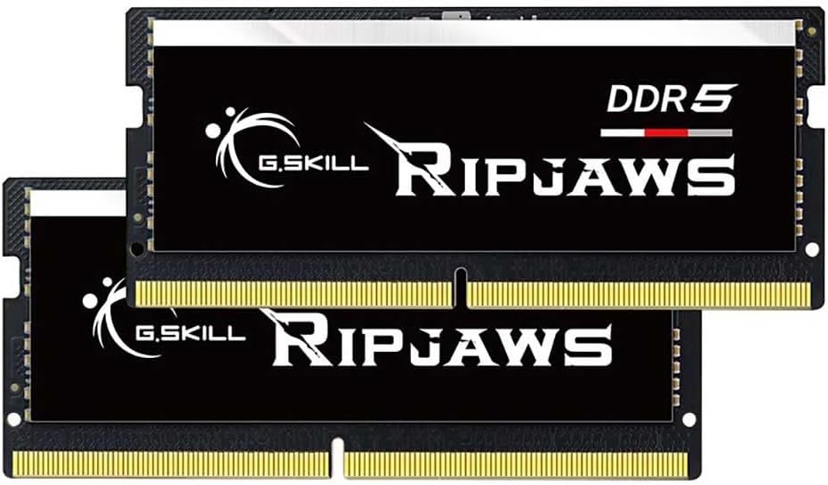 G.Skill Ripjaws F5 32 Go DDR5 4800 MHz Memory Module Review