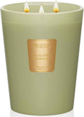 Eucalyptus & Cedarwood Scented Candle - 150 Hours of Bliss