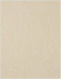 LUXPaper 8.5 in x 11 in Cream Parchment Paper - 250 Pack
