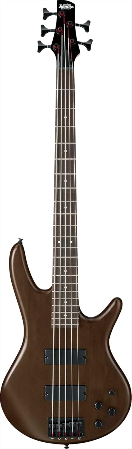 Ibanez GSR205BWNF GIO 5-String Electric Bass Review