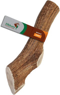 Giant Whole Elk Antler Chew for 75+ lb Dogs - Long Lasting