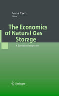 The Economics of Natural Gas Storage: A Comprehensive Overview
