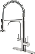 Kitchen Faucet with Drinking Water Faucet 3 in 1 Pull Down - Space