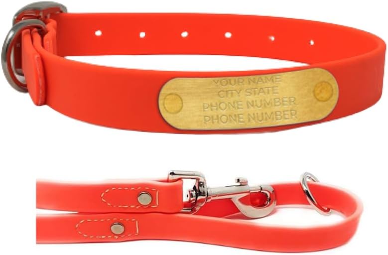 Custom Engraved Waterproof Dog Collar and Leash Set for Dogs