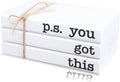 Inspirational Mini Faux Books - You Got This!