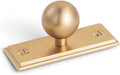 Champagne Bronze Cabinet Knob with Backplate 1 in - Modern 6 Pack