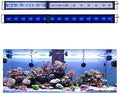 KZKR LED Aquarium Light 60-72 in Foldable Adjustable - Bright Blue