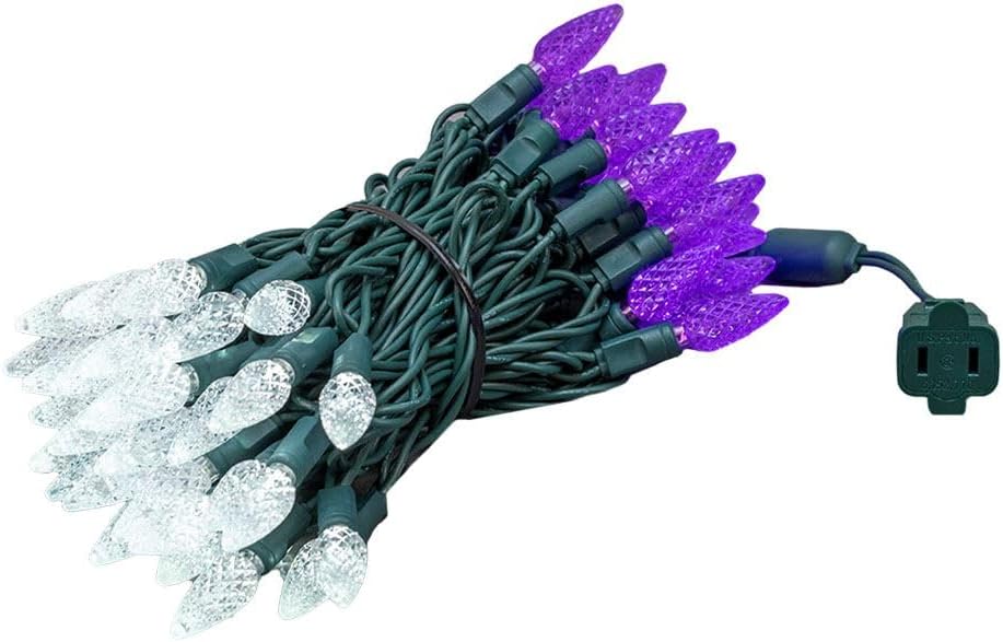 24FT 70 LED C6 String Lights for Festive Indoor and Outdoor Use