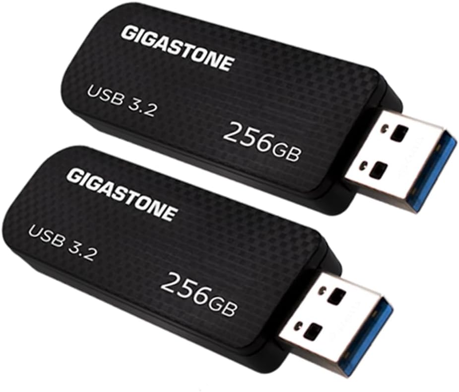 GIGASTONE 256GB Flash Drive 2 Pack Ultra Fast Data Storage