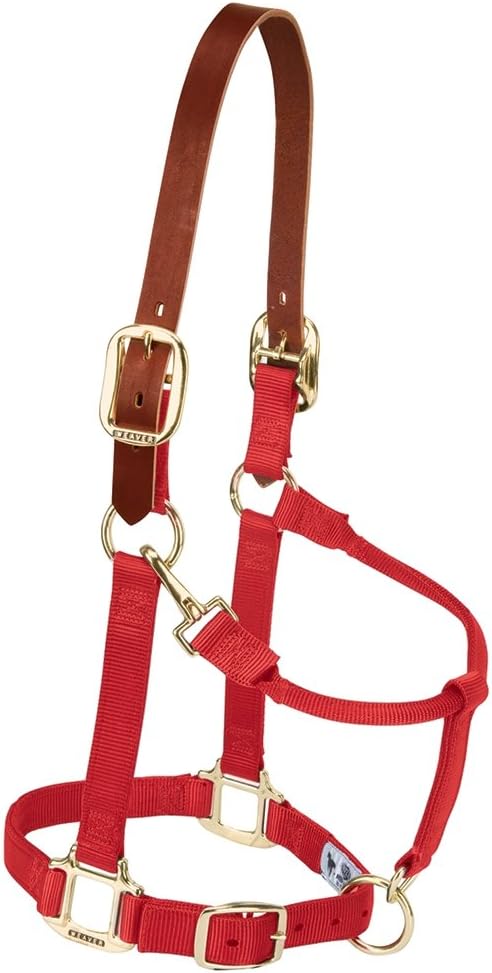 Breakaway Horse Halter by Weaver Leather for Ultimate Safety