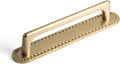 Goo-Ki Champagne Bronze Cabinet Pulls with Backplate - 2 Pack 5ft Hole
