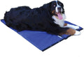 Dog Cooling Pad Hydro Cooling Mat 4 Pack for X-Large Dogs