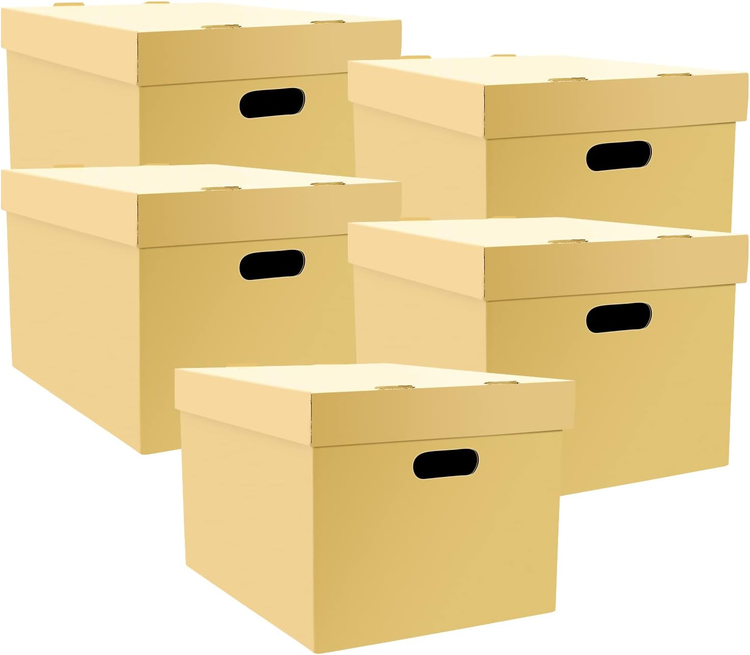 Archival Storage Cartons for Documents and Photos, Pack of 5