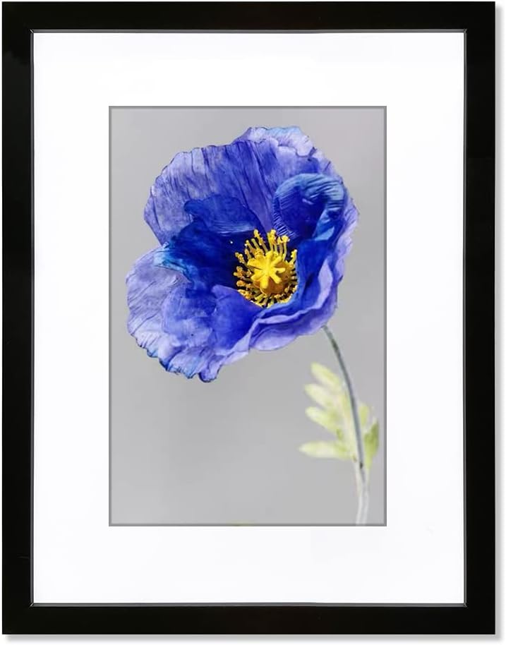 VNVNK 18x24 Frame Black Picture Frame for Home Wall Decor