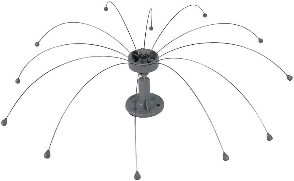 Daddi Long Legs Bird Spider - Effective Bird Deterrent Solution
