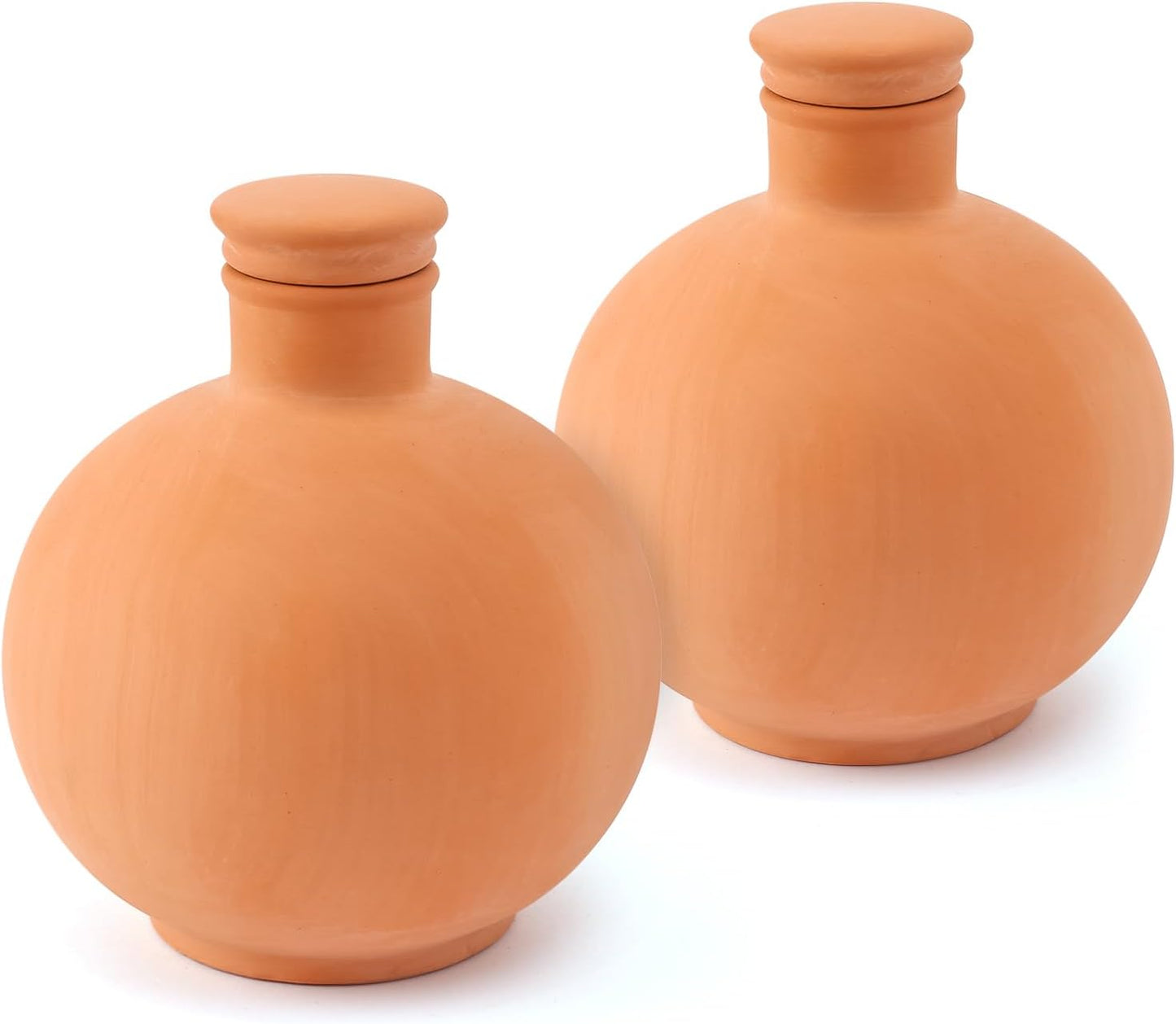 Self Watering Terracotta Plant Watering Globes for Easy Care