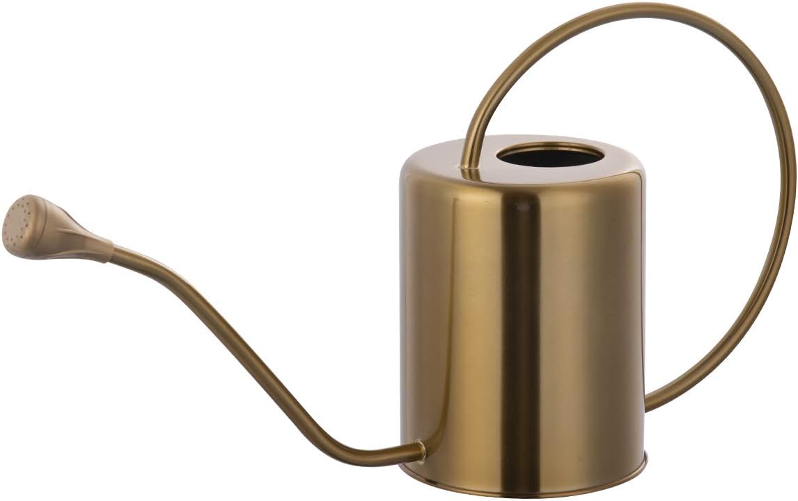 1/2 Gallon Long Spout Stainless Steel Watering Can for Plants