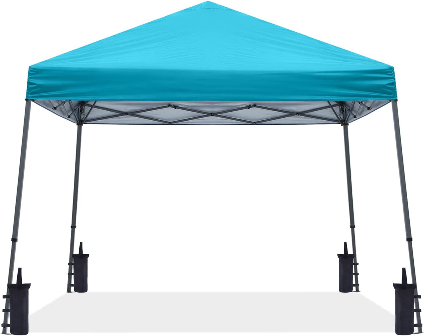 ABCCANOPY 10 x 10 ft Pop Up Outdoor Canopy Tent for Events