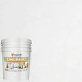 VASARI Lime Paint Enterprise #19 5 Gallon - Natural Lime Finish