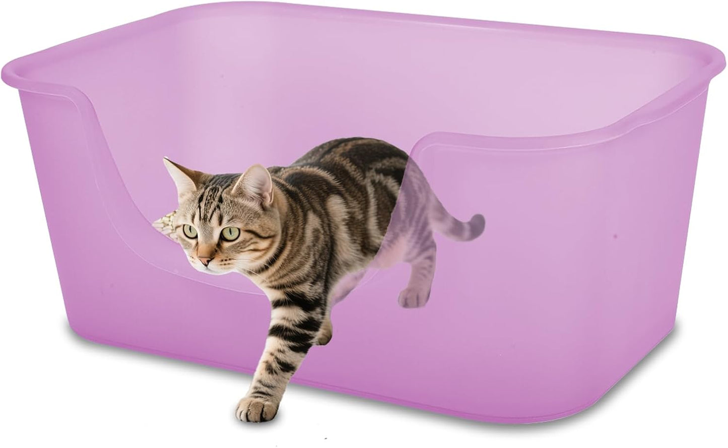 Large Cat Litter Box With High Sides For Multi Cats Indoor