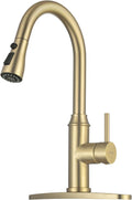 Gold Kitchen Faucet with Sprayer, Single Handle Pull Out - Brushed