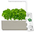 Click & Grow Smart Garden 3 Pods Indoor Herb System - Easy Indoor