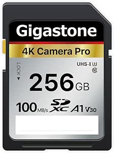 Gigastone 256GB SD Card for 4K Ultra HD Video Recording