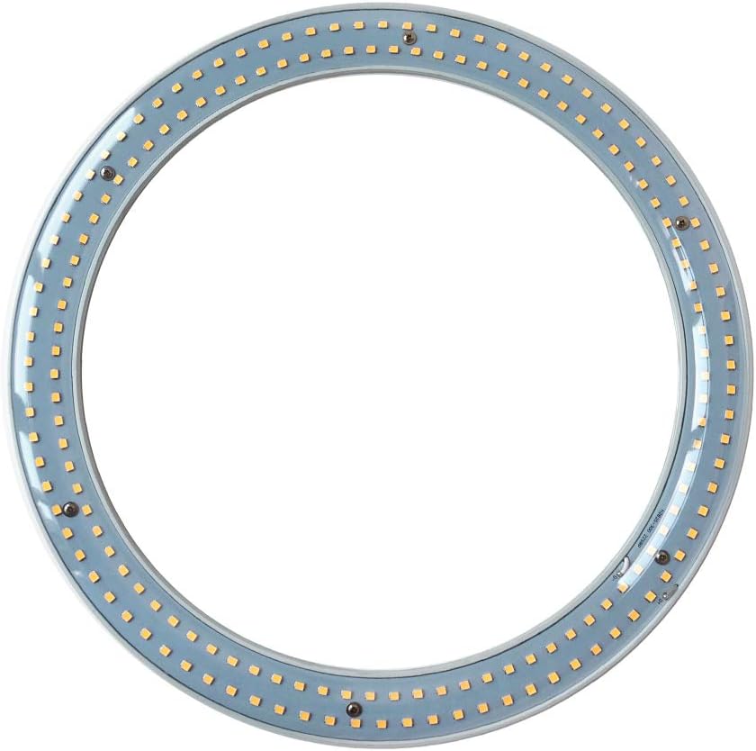 T9 LED Circline Light Bulb - 12 Inch Warm White Replacement
