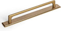 Goo-Ki Antique Brass Cabinet Pulls with Long Backplate - Retro Style