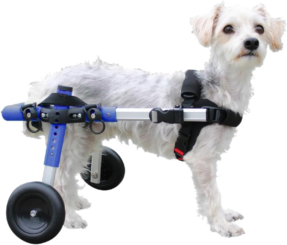 Walkin' Wheels Small Dog Wheelchair for Back Legs Support