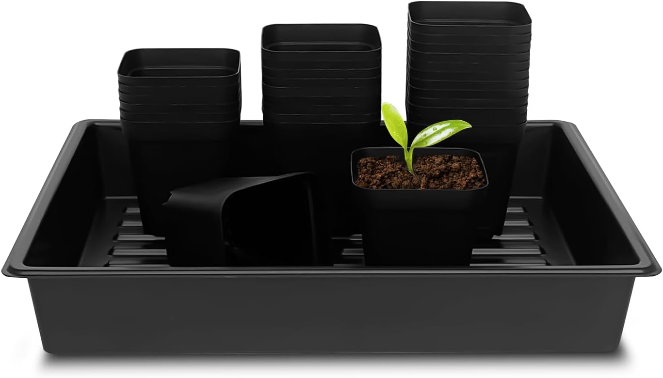 4 Inch Square Nursery Pots and Trays for Seedlings and Plants