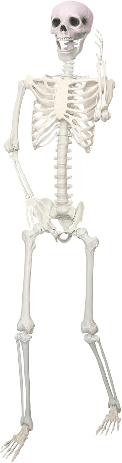 Giant Poseable Skeleton for Halloween Decorations and Parties