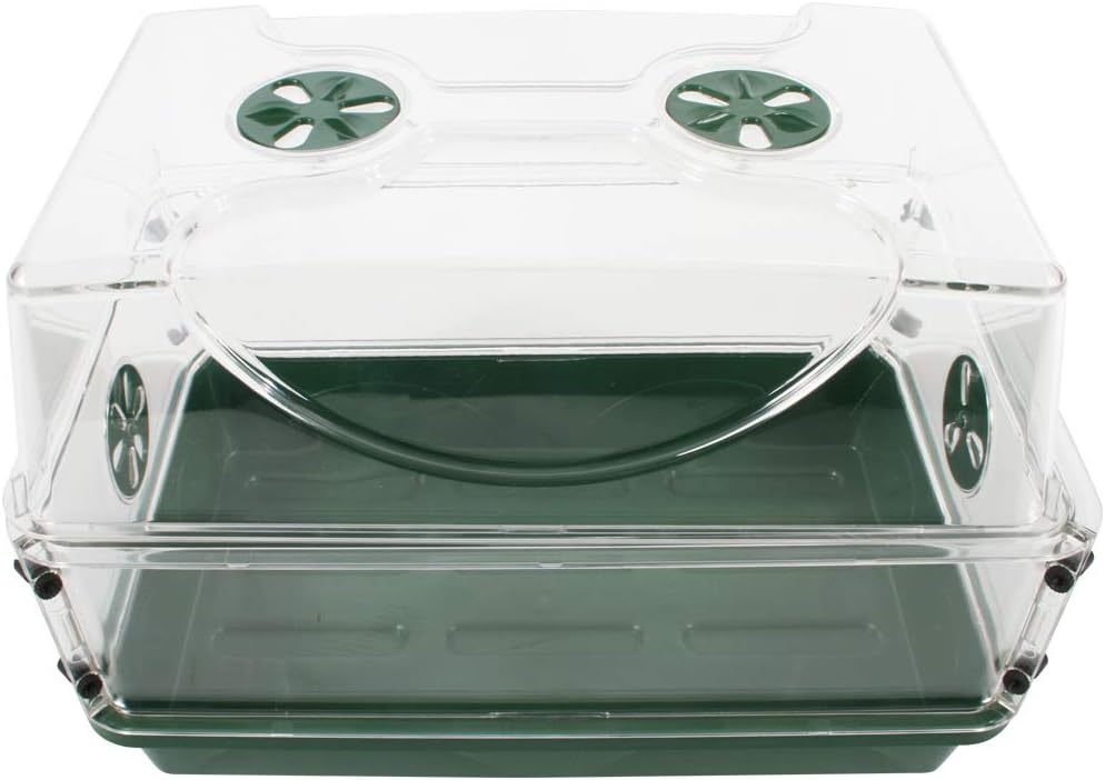 EarlyGrow Medium Seed and Herb Domed Propagator with Vents