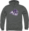 LOGOVISION Collegiate Distressed Primary Logo Pullover (Style Z96W)