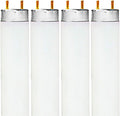 LUXRITE 48 in T8 Fluorescent Tube Light Bulb 4-Pack - Bright 5000K