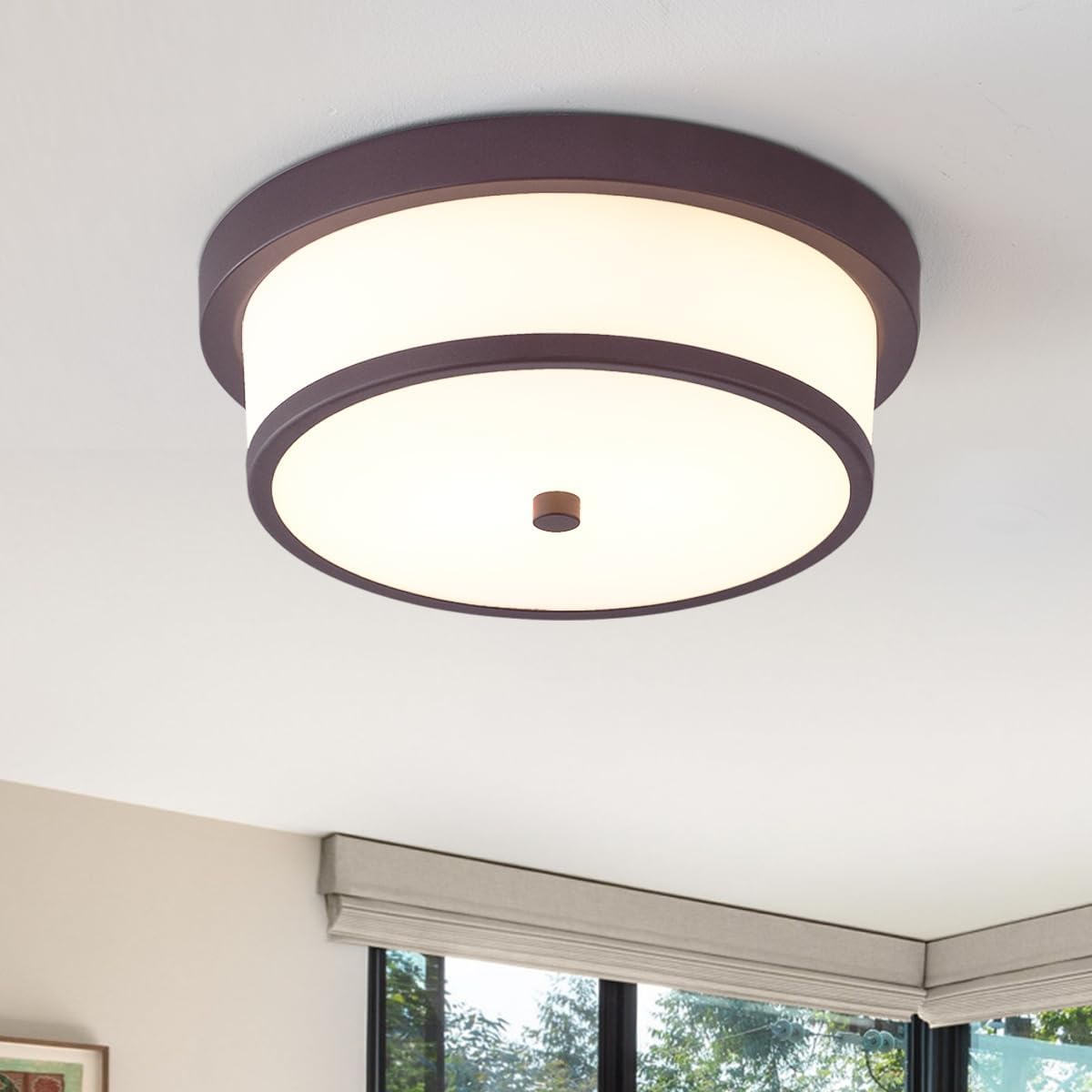 12 inch Flush Mount Ceiling Light for Modern Home Decor
