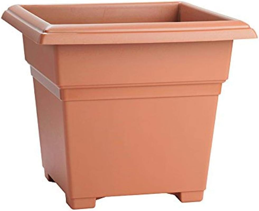 Root & Vessel Countryside Square Planter for Vibrant Plants