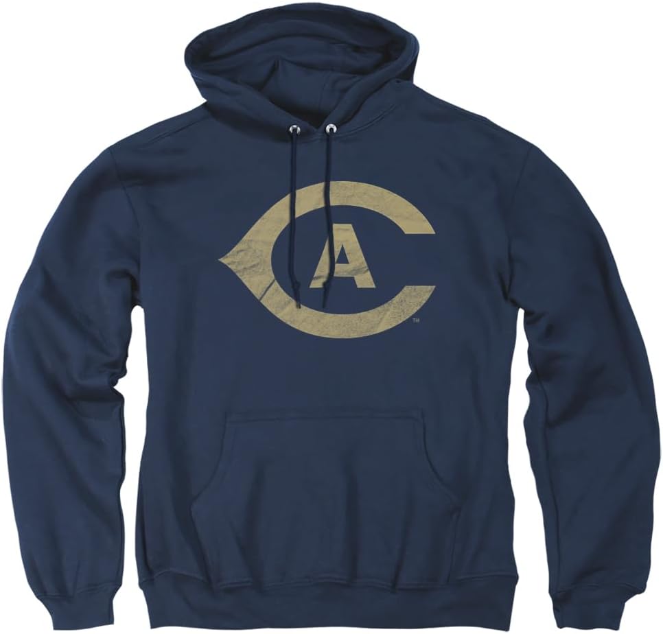 Official Collegiate Distressed Logo Adult Pullover Hoodie