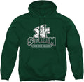 LOGOVISION Collegiate Distressed Primary Logo Pullover Hoodie LAKE