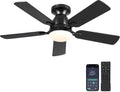 Ceiling Fans with Lights - 46in Low Profile Indoor Fan with Remote