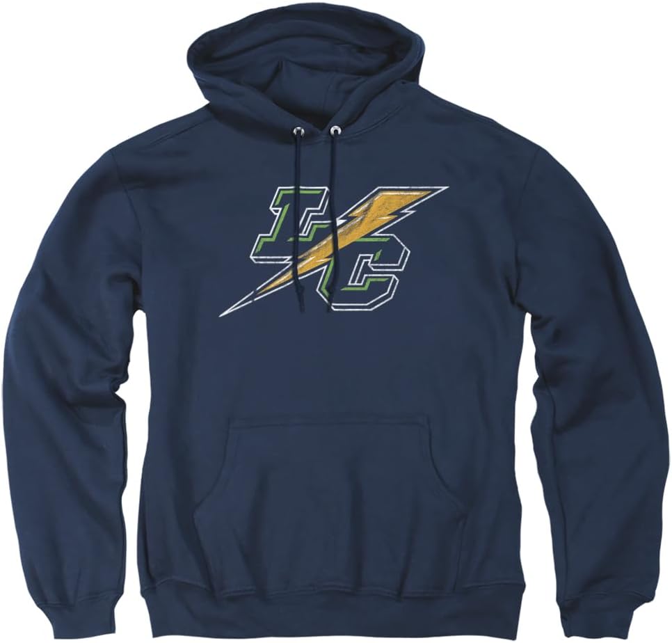LOGOVISION Collegiate Distressed Primary Logo Hoodie for Adults