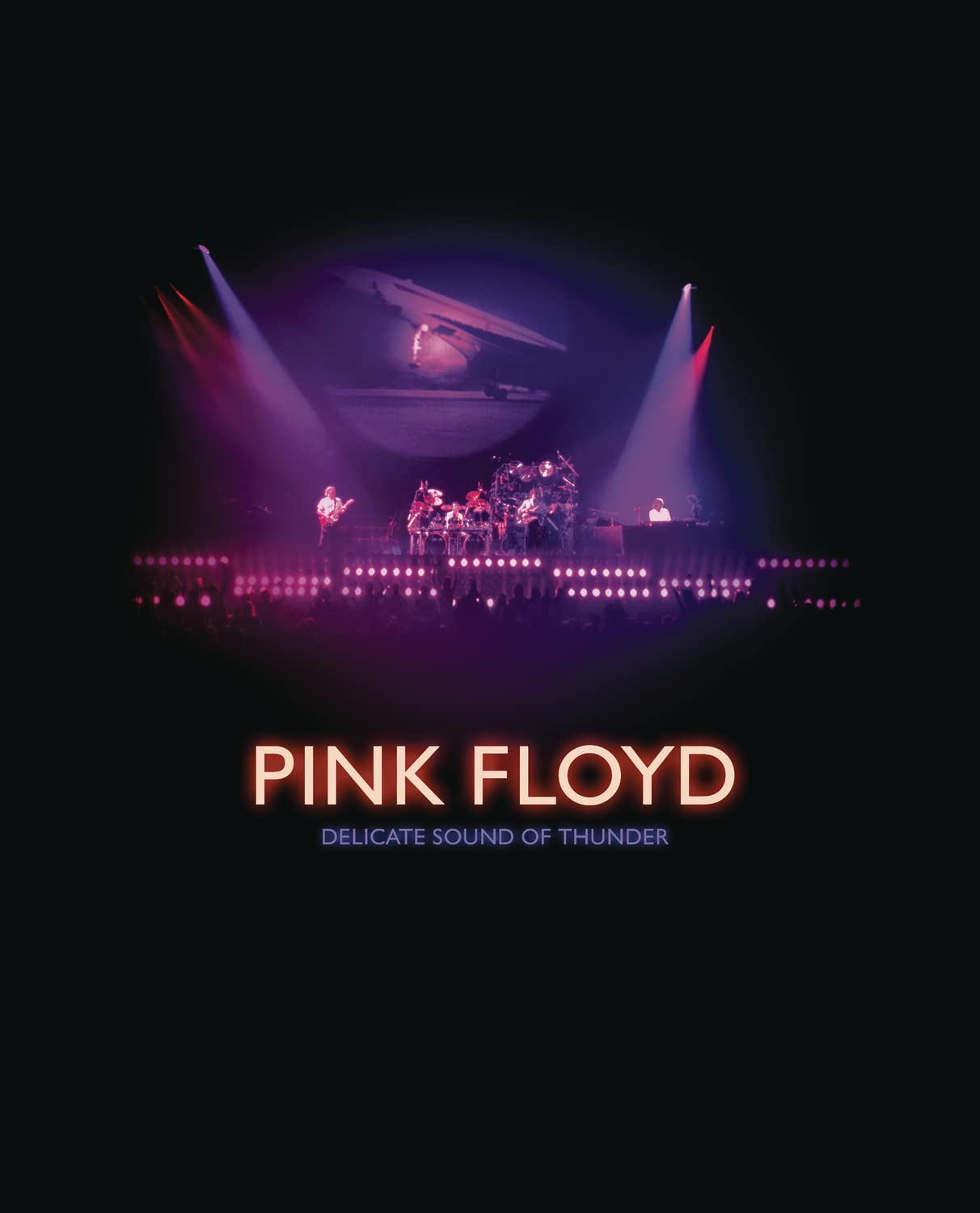 Delicate Sound Of Thunder - Restored, Re-edited, Remixed Review