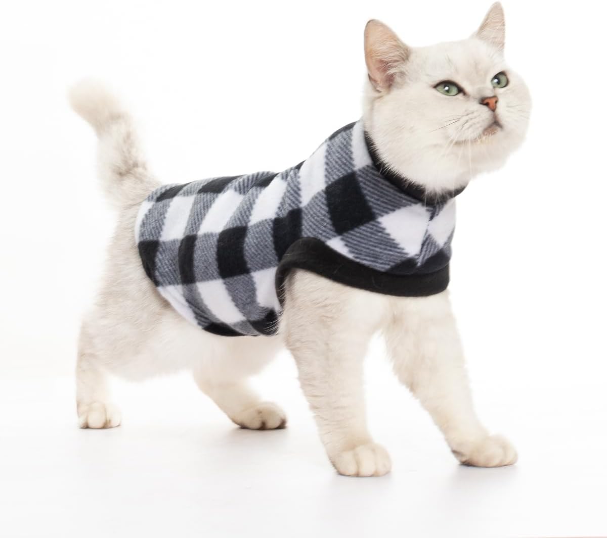EXPAWLORER Cozy Cat Sweater