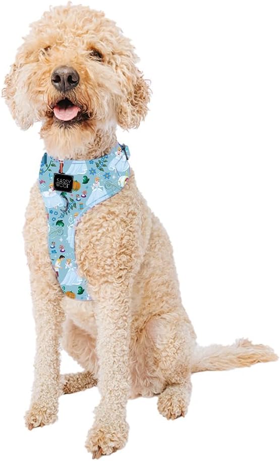 Dog Adjustable Harness - Disney Princess Cinderella for Large Dogs