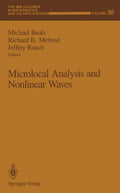 Microlocal Analysis and Nonlinear Waves - Rigorous Proceedings