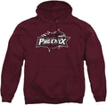 LOGOVISION Collegiate Distressed Primary Logo Pullover Hoodie highest