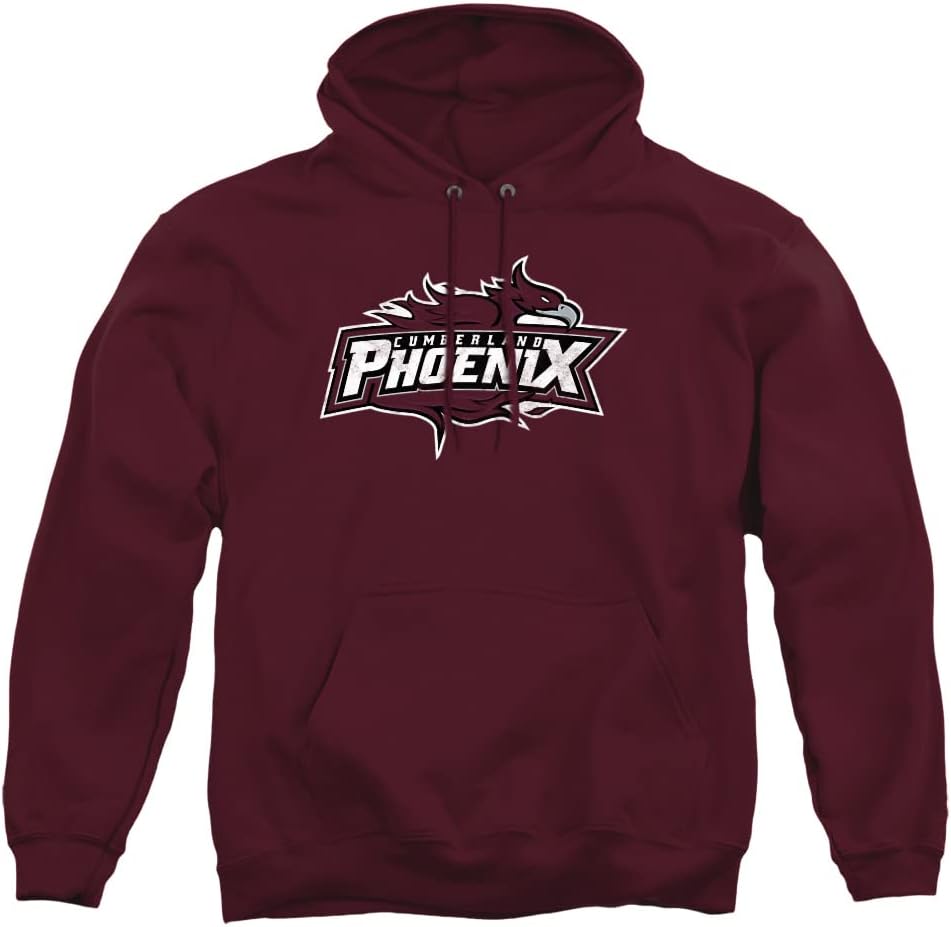 Official Collegiate Distressed Logo Adult Pullover Hoodie
